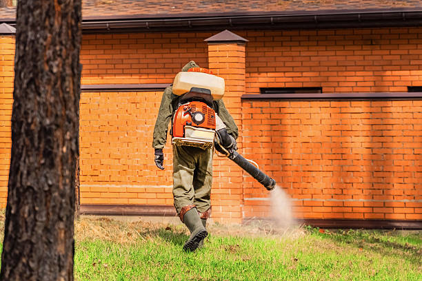 Trusted Emergency Pest Control service in Stateburg, SC - Nex Pest Control